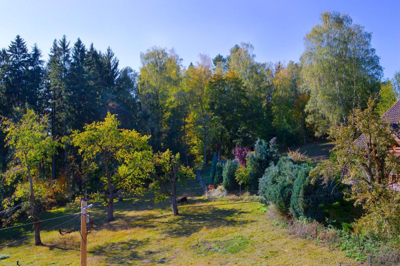 Pension Haus Fuerstenberg Beierfeld Dış mekan fotoğraf