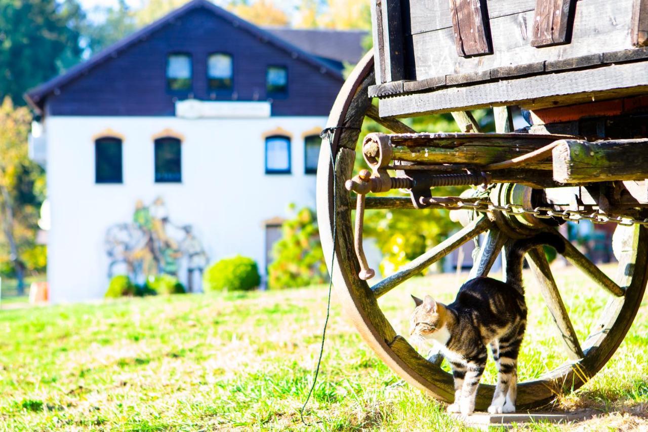 Pension Haus Fuerstenberg Beierfeld Dış mekan fotoğraf
