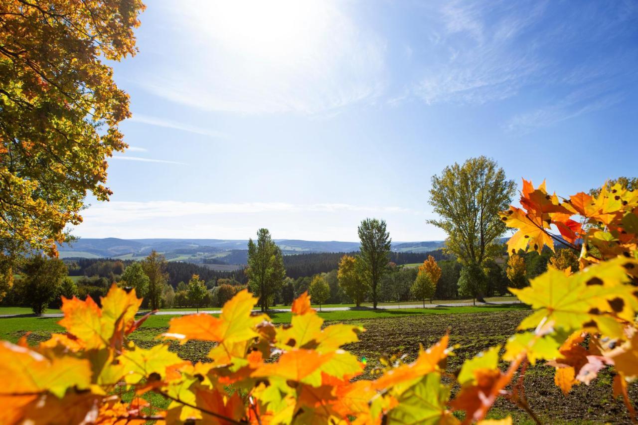 Pension Haus Fuerstenberg Beierfeld Dış mekan fotoğraf